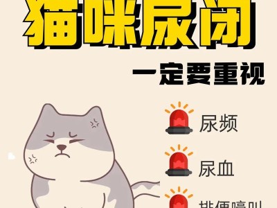 猫咪拉不出尿的原因及处理方法（猫咪尿潴留可能的危害及预防措施）