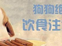 狗狗的零食安全指南（如何保证你的爱犬安全地享受美味零食）