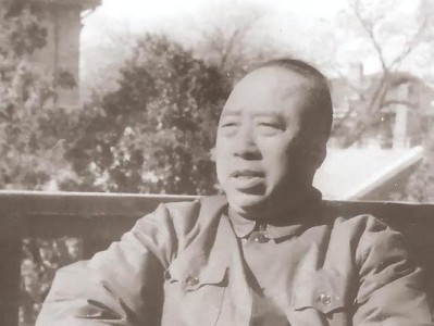 以粗旷养鱼，享受自然美好（让宠物成为您的小幸福）