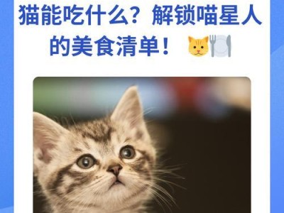猫孕期的水果饮食指南（了解猫咪孕期所需，打造健康饮食计划）
