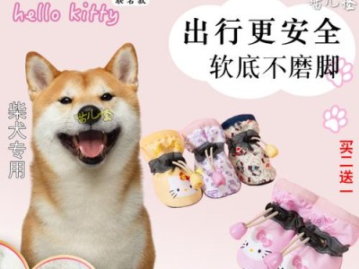 治疗狗狗脚软的有效方法（以宠物为主，让狗狗重拾健康）