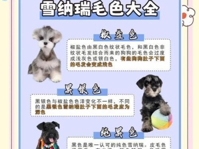 雪纳瑞犬的洗澡频率与护理要点（以5个月大的雪纳瑞为例，了解合适的洗澡频率和注意事项）