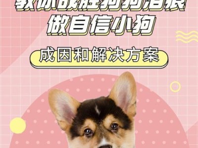 养狗小知识（狗狗每天需要多少饮水量？）