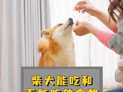 柴犬感冒的治疗方法（柴犬感冒药物治疗及预防措施）