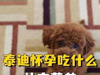 泰迪剃毛后饮食指南（为你的泰迪宠物提供健康的饮食建议）