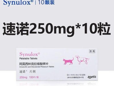 狗胃炎的消炎药选择及注意事项（为你的爱犬选择合适的消炎药）
