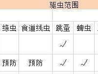 狗狗驱虫的注意事项（保障宠物健康，重视便便观察）