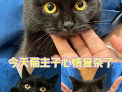 cku定点宠物医院分部覆盖城市调查（分析cku定点宠物医院在各城市的分布情况与服务覆盖范围）