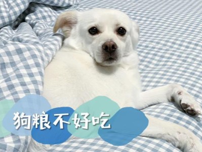 我喜欢嚼纸的原因与影响（探究嚼纸行为的动机与后果）