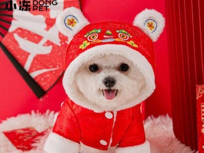 比熊犬怀孕生小狗的过程剖析（宠物养护指南，关爱小狗健康成长）