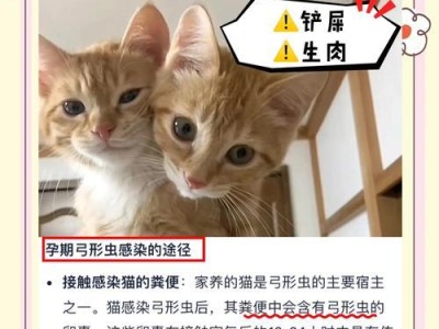 狗狗健康管理之弓形虫检测（了解狗狗弓形虫感染的重要性，以及检测频率与方法）