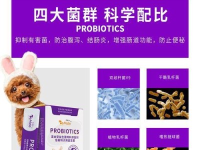 宠物泰迪感冒拉稀饮食指南（科学饮食助您的泰迪康复）