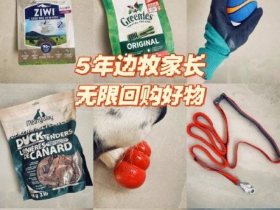 边牧的健康零食选择（为你的边牧提供均衡的零食搭配）