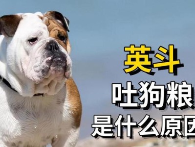 探究狗吃狗粮吐的原因（狗粮消化问题引发的呕吐反应）