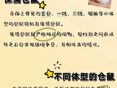 仓鼠卫生知识（仓鼠的卫生保健和疾病预防，让它们健康快乐的生活）