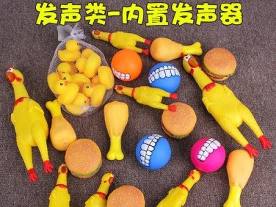 泰迪磨牙行为的特点及解决方法（探索泰迪磨牙的原因，为你的宝贝提供正确的解决方案）