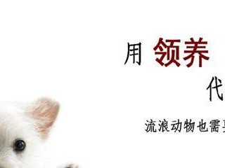 为什么给猫狗绝育手术？（探讨为宠物绝育手术的重要性及好处）