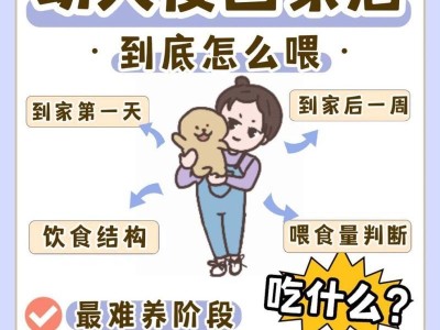 新手养幼犬必知的注意事项（为了宠物犬的健康成长，掌握这些关键要点吧！）