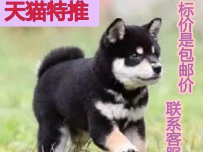 家护院大型犬（追寻卓越品质的家庭守卫犬群）