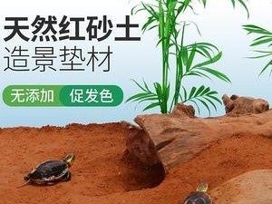 王者蜥蜴的理想垫材选择（为了宠物蜥蜴的舒适生活）