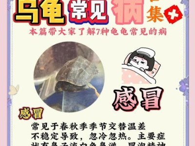 乌龟白眼病的克星——艾叶煮水（民间偏方治疗乌龟白眼病，艾叶煮水成为有效法宝）