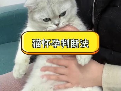 母猫怀孕周期解析（从交配到分娩，探究母猫怀孕的全过程）