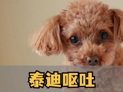 夏天狗为什么会呕吐？（了解夏天狗呕吐的原因及应对方法）