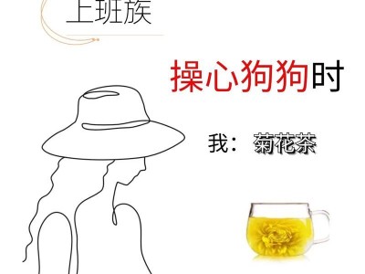 四种狗狗特别好饲养，省心又可爱！（了解这几种狗狗，让你的养狗之路变得更加轻松愉快）
