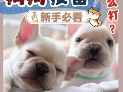 狗狗成年后需要打哪些疫苗？（了解狗狗成年后必须接种的疫苗，保护它的健康）