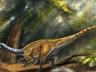 探秘史前世界（古生物学家的发现之旅）