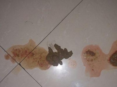 金毛狗拉血的治疗方法及相关药物介绍（帮助金毛狗恢复健康的有效药物与建议）