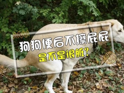 4岁狗狗为什么大便不成形？（原因分析、饮食控制、健康检查）