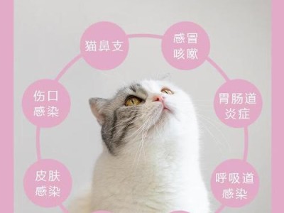 狗狗肠胃发炎的症状及药物治疗（了解狗狗肠胃发炎的常见症状和有效的药物治疗方案）