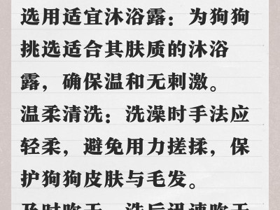 小狗洗澡的最佳频率（科学护理让你的小狗健康快乐）