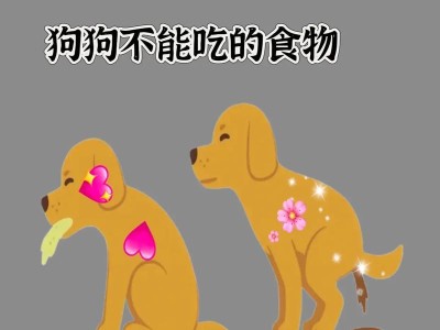 狗狗不能吃的食物（了解狗狗饮食禁忌，健康关爱伙伴）