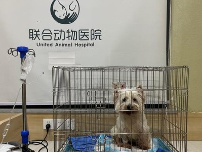 为什么要给动物绝育（探讨动物绝育的重要性及好处）