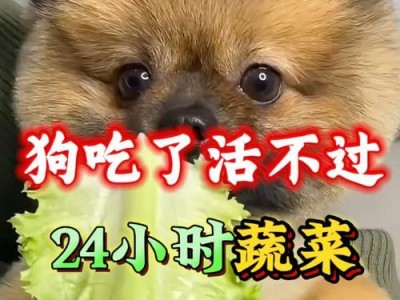 食用营养多样性——以成狗什么都可以吃吗？（了解犬类的食性及饮食需求，促进宠物健康生活）