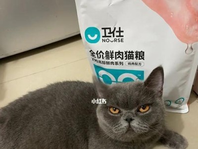 宠物猫咪胃不好症状一览（了解猫咪的胃部问题，守护你的爱宠健康）