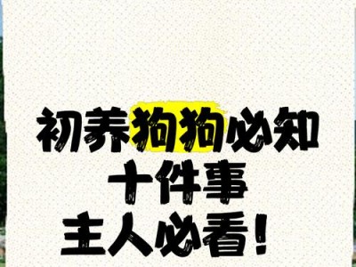 养繁殖狗狗的准备工作（为宠物狗的繁殖做好准备）