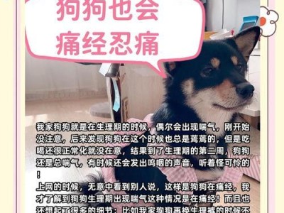 母狗生理期的周期和特点（了解母狗发情周期对繁殖和护理的重要性）