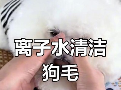狗狗吃什么可以去泪痕？（探索有效的饮食方法，让你的宠物狗摆脱泪痕的困扰）