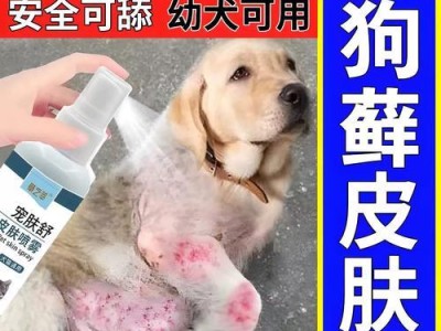 狗的皮肤病及预防方法（探索狗得了皮肤病的原因及治疗方法）