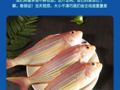 如何科学养护白云山鱼（以宠物为主，让你轻松养鱼）