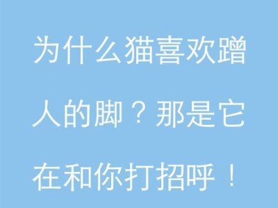 探究猫为什么喜欢抓东西的原因（揭秘猫抓东西的行为及心理动机）