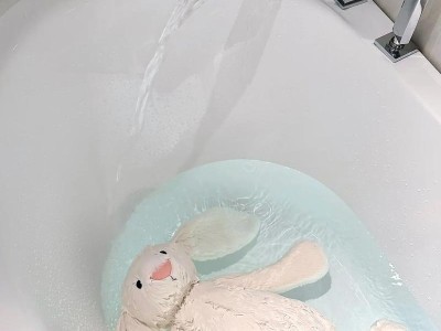 兔子洗澡（保持宠物兔子清洁与健康的关键）