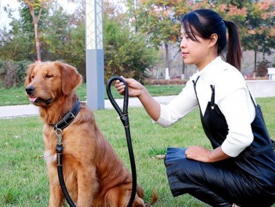 遛狗狗的重要性（增进宠物与人的感情和提高狗狗健康的必备活动）