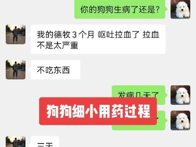 细小后养新犬的最佳时机（宠物狗细小康复期与新犬养育的平衡关系）