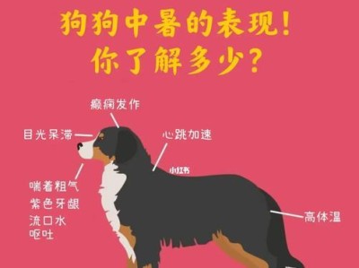 宠物狗怕热？降温招数来了！（预防狗狗中暑，让它度过炎热夏天的6大秘诀）