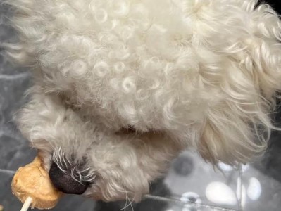 狗为什么不能吃糖？（探索糖对狗的危害及影响）
