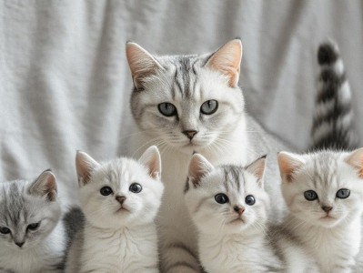 刚出生1个月的猫吃什么好？（为宝宝猫提供适宜的饮食是关键！）